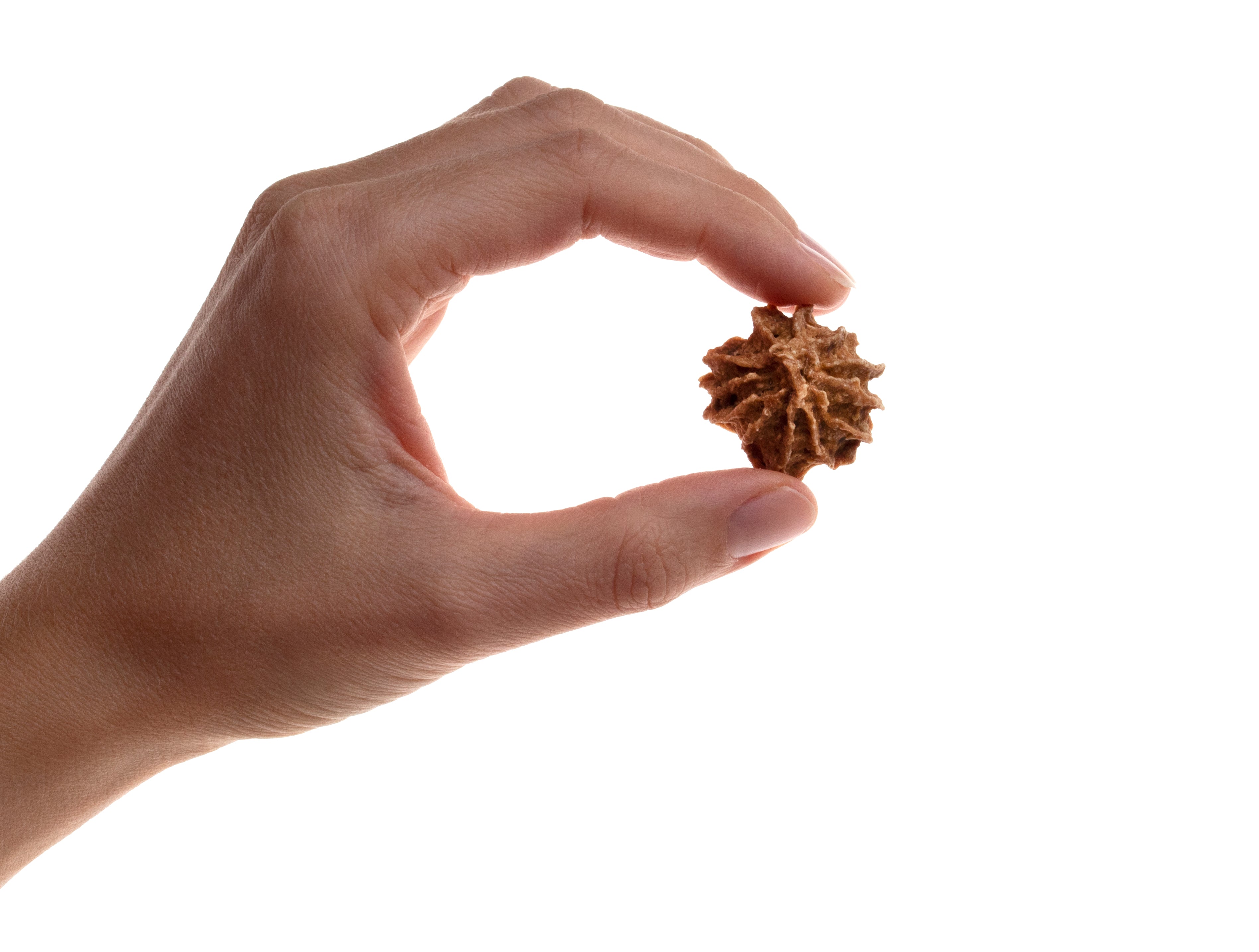 Chicken & Carrot Cookies