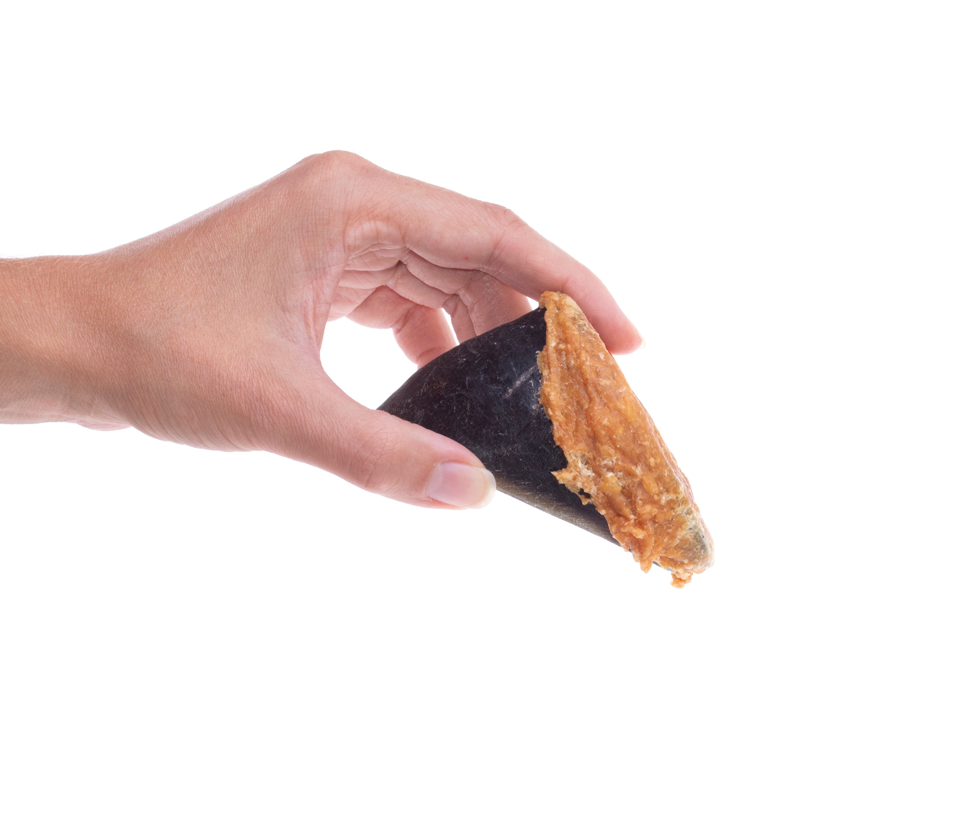 Hooves Dog Chew Stuffed Chicken Breast - Oat