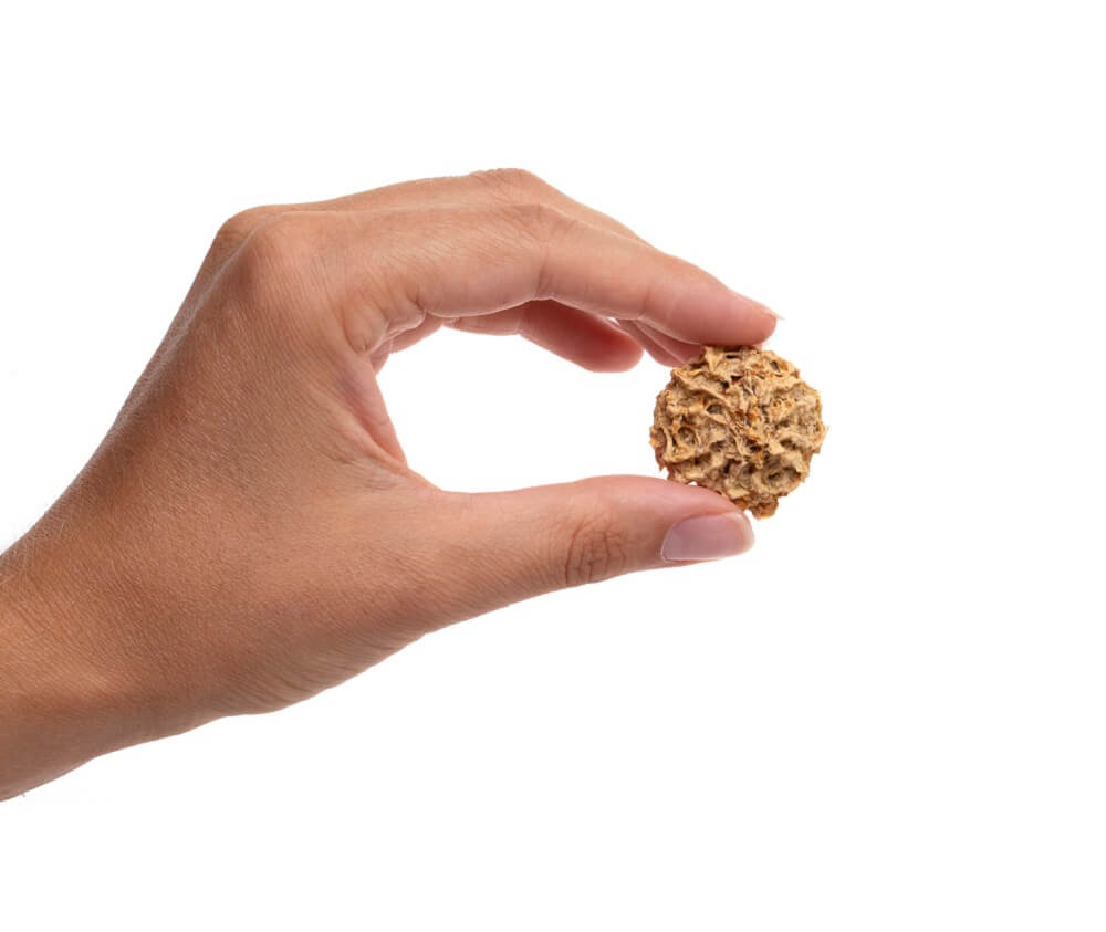 Chicken & Sweet Potato Cookies